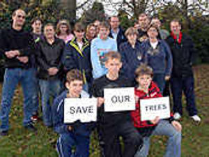 Supporting image for story: Fury as trees face the chop