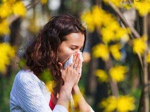 Supporting image for story: Hay fever sufferers advised to ‘check warnings on medicines’ before driving
