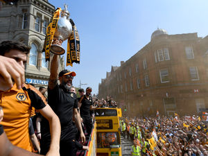 Supporting image for story: Kevin Thelwell: Wolves pups will still get chance in Premier League