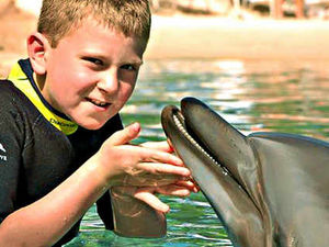 Supporting image for story: Tributes to Casey Breese after Caersws goalpost tragedy