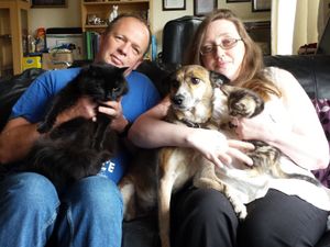 Supporting image for story: Couple devastated as sixth cat in five years 'poisoned by antifreeze'