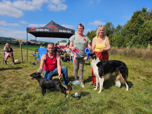 Supporting image for story: Amazing weather ensured a fantastic Pantydwr Show with good entries in all classes, especially the sheep section