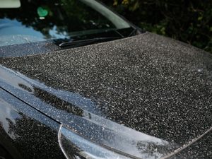 Supporting image for story: Saharan dust: Weather experts spot huge desert dust clouds heading to the UK