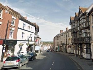 Supporting image for story: Ludlow is special
