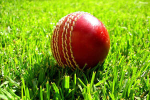 Supporting image for story: Staffordshire win friendly cricket match against Wales