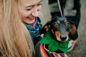 Festive Sausage Dog meet up and walk at The Quarry in Shrewsbury. Organised via Shrewsbury Sausage Social