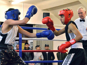 Supporting image for story: Four-midable Shropshire quartet left in Juniors