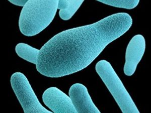 Supporting image for story: West Midlands people who have recently travelled to Bordeaux and eaten at a certain wine bar urged to contact hospital ASAP