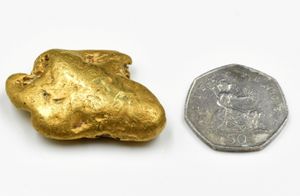 The 50p piece shows the size of the nugget. Photo: SWNS