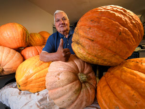 Supporting image for story: See green-fingered grandad's humongous pumpkins he grows in Smethwick - his biggest yet