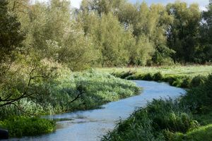 One Of The Stafford Brooks Project Sites. Image courtesy of National Highways