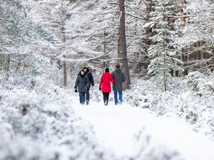 Supporting image for story: Many schools shut for a third day amid warning of further ice and snow