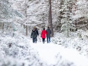 Supporting image for story: Many schools shut for a third day amid warning of further ice and snow