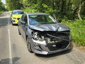The silver Peugeot was seen to have sustained heavy damaged after colliding with a deer in Cannock Chase