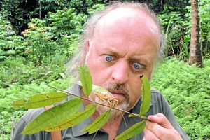Supporting image for story: TV review: Bill Bailey's Jungle Hero