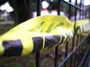 Supporting image for story: Youths charged on horse attack