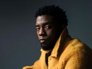 Supporting image for story