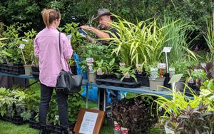 Plant Fair