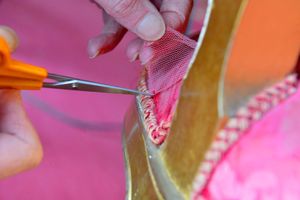 Staff at the National Trust's Attingham Park using house closure time to do conservation work
