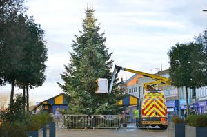 The new tree in Dudley High Street after the first was described as 'half-dead'