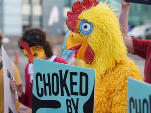 Activists in chicken costumes were outside the High Court. Picture: River Action/A Heggerty