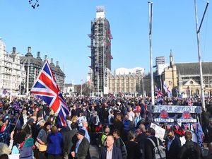 Supporting image for story: Brexit marchers confused on day they planned to celebrate