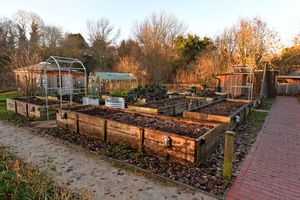 The market garden at Riverside House, Stourbridge