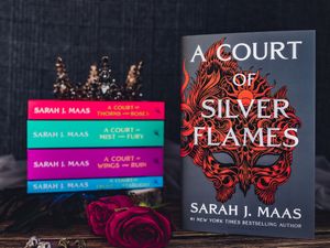 Supporting image for story: Fantasy fiction and ‘phenomenon’ author Sarah J Maas drive sales for Bloomsbury