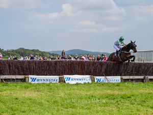 Supporting image for story: 'Large and enthusiastic crowd' enjoy 'unforgettable day' of horse racing 