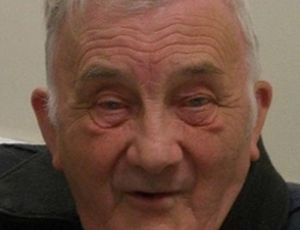 Supporting image for story