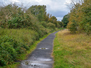 Supporting image for story: Body found in woodland of Dudley nature reserve