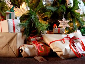 Supporting image for story: Quizzes, no singalongs and elbow bumps instead of hugs – tips for Christmas 2020