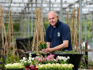 Supporting image for story: 'Play your part' and help Shrewsbury be town of flowers, businesses urged
