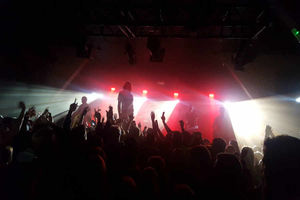 The Pigeon Detectives