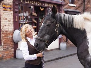 Supporting image for story: Black Country Living Museum's beloved horse helper calls it a neigh after eight years of educating