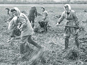 Supporting image for story: Honouring the army girls