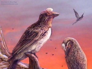 Supporting image for story: Bird from the age of dinosaurs deepens extinction mystery