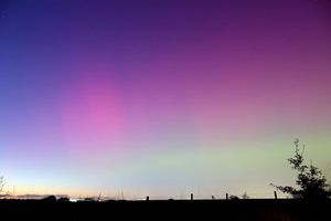 Tom Lowe snapped this one in Cantlop, south of Shrewsbury in his own back garden!