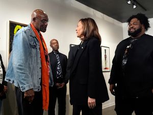 Supporting image for story: Hollywood stars join Harris on US election campaign trail