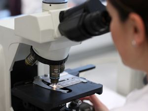 Supporting image for story: Clinical trial hubs to open as part of £400m public-private investment