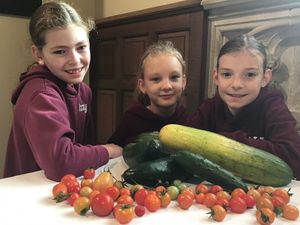 Supporting image for story: Green-fingered schoolchildren provide harvest crop of fresh vegetables to villagers
