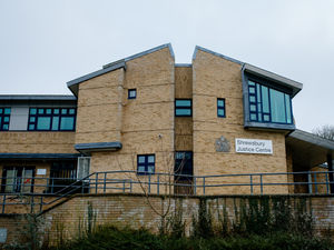 Supporting image for story: Shropshire paedophile given suspended jail sentence