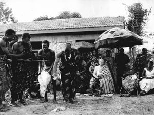 Supporting image for story: Out of Africa: How a Shropshire man became a Ghanaian tribal chief