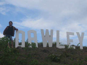 Supporting image for story: Dawley'wood' sign could become permanent