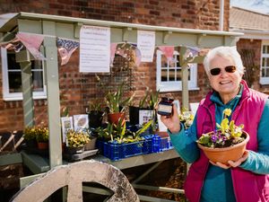 Supporting image for story: Sylvia sows seeds of success