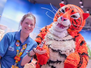 Supporting image for story: Birmingham's LEGOLAND Discovery Centre recreates classic children's character to celebrate Town Hall show