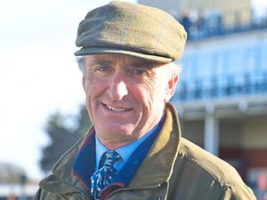 Supporting image for story: Deep clean at Ludlow Racecourse after equine flu alert