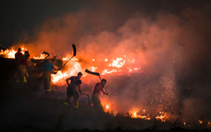 Firefighters have had to beat the flames to put out the fire