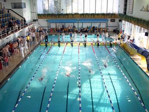 Supporting image for story: Shrewsbury councillors backing Quarry pool campaign after site's future cast into doubt