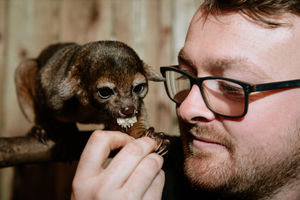 Ryan Jordan with Chutney the kinkajou